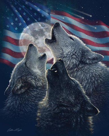 Wolf Trinity Patriotic White Modern Wood Framed Art Print with Double Matting by Bogle, Collin