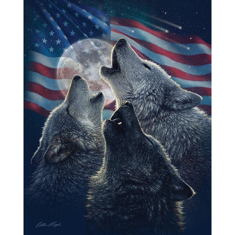 Wolf Trinity Patriotic Gold Ornate Wood Framed Art Print with Double Matting by Bogle, Collin