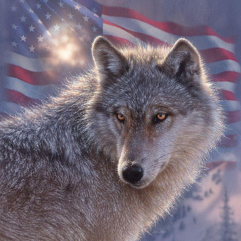 Lone Wolf America White Modern Wood Framed Art Print by Bogle, Collin