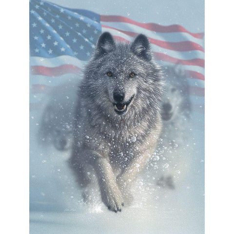 Running Wolves America Black Modern Wood Framed Art Print with Double Matting by Bogle, Collin