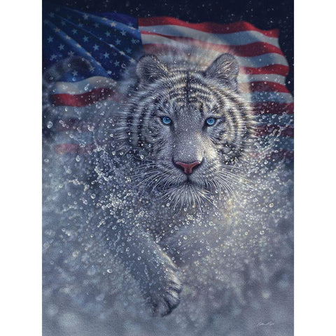 White Tiger America Black Modern Wood Framed Art Print with Double Matting by Bogle, Collin