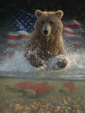 Brown Bear Fishing America White Modern Wood Framed Art Print with Double Matting by Bogle, Collin