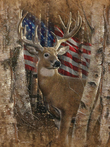 Whitetail Buck America Black Ornate Wood Framed Art Print with Double Matting by Bogle, Collin