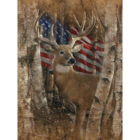 Whitetail Buck America Black Modern Wood Framed Art Print with Double Matting by Bogle, Collin