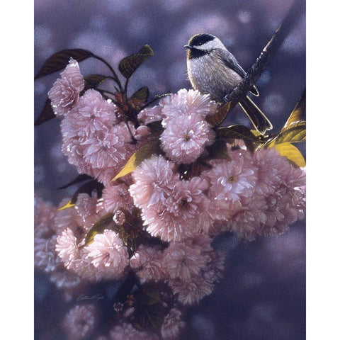 Black Capped Chickadee Black Modern Wood Framed Art Print by Bogle, Collin