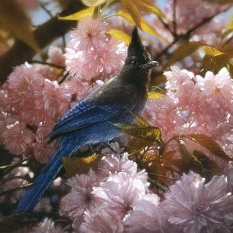 Stellers Blossoms White Modern Wood Framed Art Print by Bogle, Collin