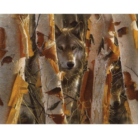 Wolves - The Guardian Black Modern Wood Framed Art Print by Bogle, Collin