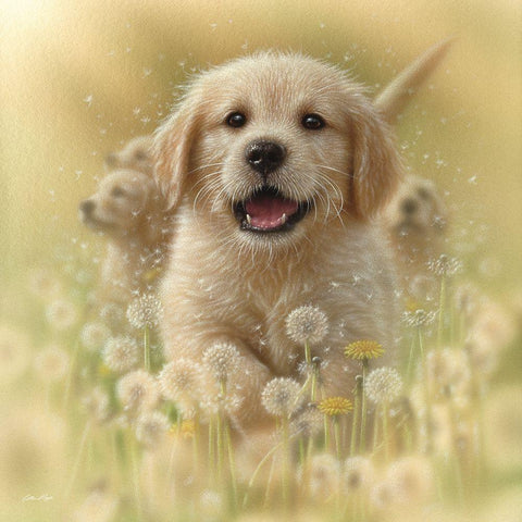Golden Retriever Puppy - Dandelions - Square Black Modern Wood Framed Art Print by Bogle, Collin