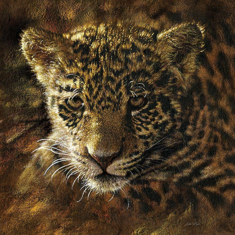 Jaguar Cub on Bark White Modern Wood Framed Art Print with Double Matting by Bogle, Collin