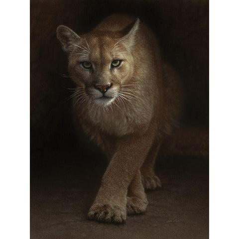 Cougar - Emergence White Modern Wood Framed Art Print by Bogle, Collin