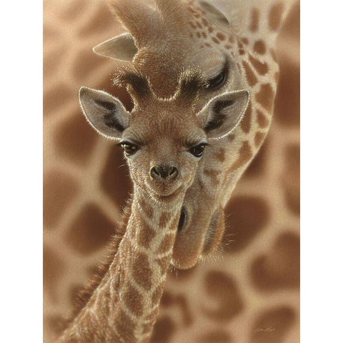 Newborn Giraffe Black Modern Wood Framed Art Print by Bogle, Collin