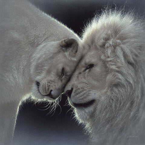 White Lion Love Black Ornate Wood Framed Art Print with Double Matting by Bogle, Collin