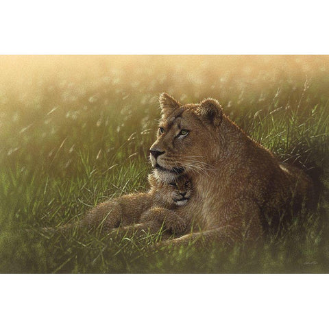 Safe Haven Gold Ornate Wood Framed Art Print with Double Matting by Bogle, Collin