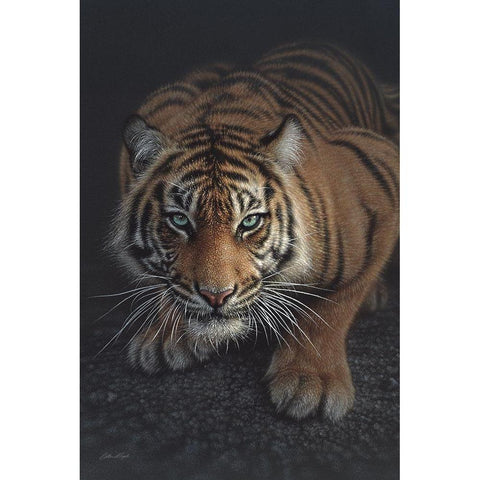 Crouching Tiger - Vertical Black Modern Wood Framed Art Print by Bogle, Collin