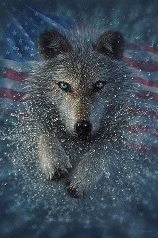 American Wolf White Modern Wood Framed Art Print with Double Matting by Bogle, Collin