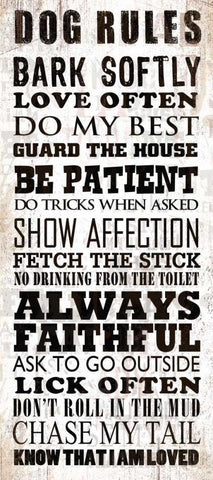 Dog Rules White Modern Wood Framed Art Print with Double Matting by Baldwin, Jim