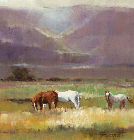 Field of Horses White Modern Wood Framed Art Print with Double Matting by Candy Rideout