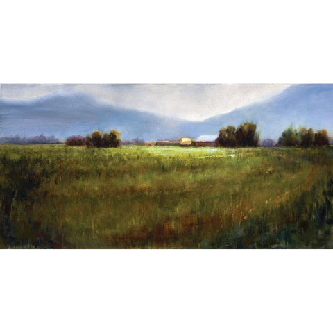 Field of Joy Black Modern Wood Framed Art Print by Candy Rideout