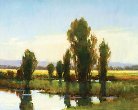 Tree Marsh Black Ornate Wood Framed Art Print with Double Matting by Candy Rideout