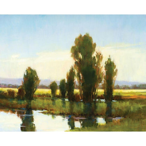 Tree Marsh Gold Ornate Wood Framed Art Print with Double Matting by Candy Rideout