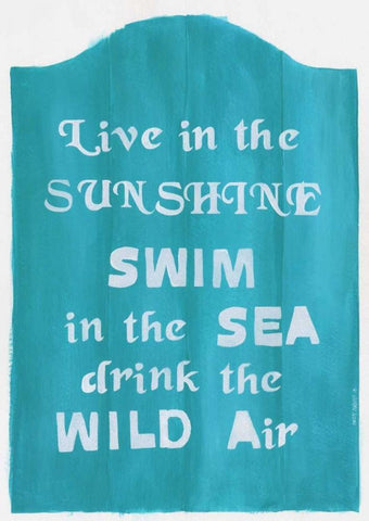 Live in the Sunshine White Modern Wood Framed Art Print with Double Matting by Shamp, Cindy