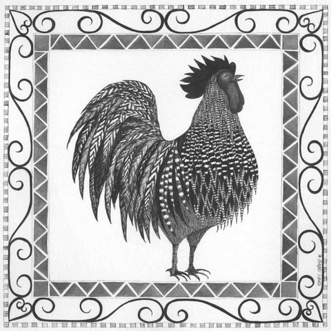 BandW Rooster Black Modern Wood Framed Art Print with Double Matting by Shamp, Cindy