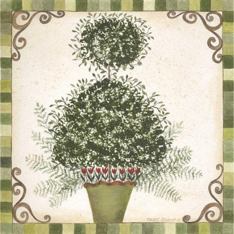 Topiary I Black Modern Wood Framed Art Print with Double Matting by Shamp, Cindy