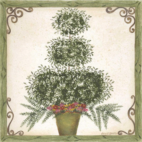 Topiary III Black Modern Wood Framed Art Print with Double Matting by Shamp, Cindy