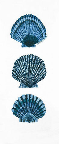 Shells Black Ornate Wood Framed Art Print with Double Matting by Shamp, Cindy
