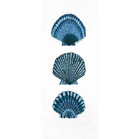 Shells White Modern Wood Framed Art Print by Shamp, Cindy
