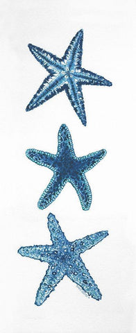 Starfish Black Ornate Wood Framed Art Print with Double Matting by Shamp, Cindy