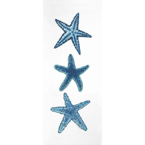 Starfish Gold Ornate Wood Framed Art Print with Double Matting by Shamp, Cindy