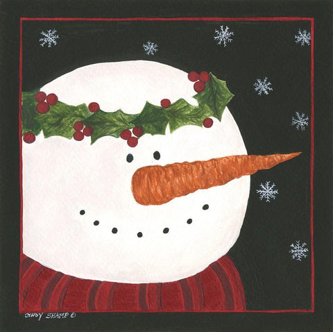 Snowman II White Modern Wood Framed Art Print with Double Matting by Shamp, Cindy