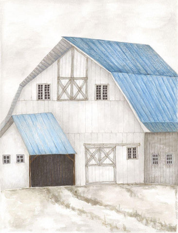 Barn IV Black Ornate Wood Framed Art Print with Double Matting by Shamp, Cindy