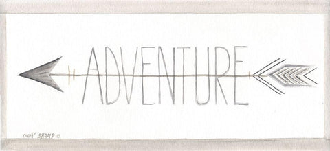 Adventure White Modern Wood Framed Art Print with Double Matting by Shamp, Cindy