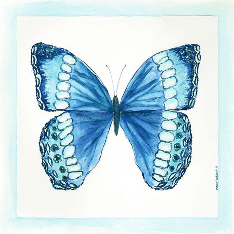 Butterfly II White Modern Wood Framed Art Print with Double Matting by Shamp, Cindy