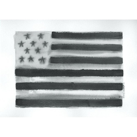 Flag II Black Modern Wood Framed Art Print with Double Matting by Shamp, Cindy