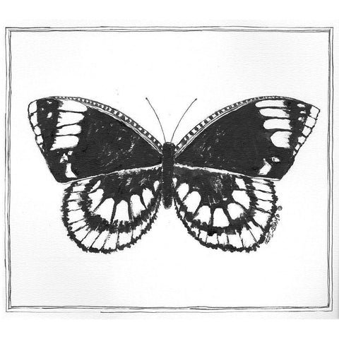 Butterfly III White Modern Wood Framed Art Print by Shamp, Cindy
