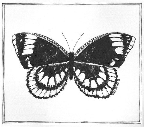 Butterfly III White Modern Wood Framed Art Print with Double Matting by Shamp, Cindy