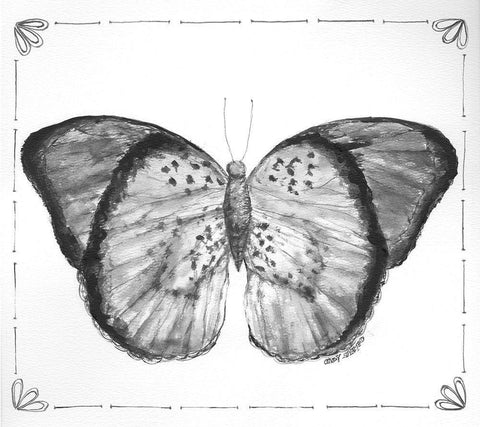 Butterfly V White Modern Wood Framed Art Print with Double Matting by Shamp, Cindy