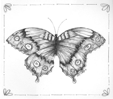 Butterfly VI White Modern Wood Framed Art Print with Double Matting by Shamp, Cindy
