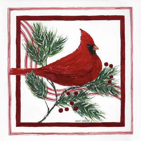 Christmas Cardinal White Modern Wood Framed Art Print with Double Matting by Shamp, Cindy