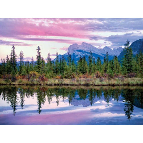 Purple Sky Tree line White Modern Wood Framed Art Print by Frates, Dennis