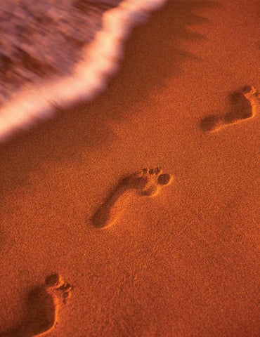Footprints White Modern Wood Framed Art Print with Double Matting by Frates, Dennis