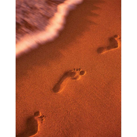 Footprints Gold Ornate Wood Framed Art Print with Double Matting by Frates, Dennis