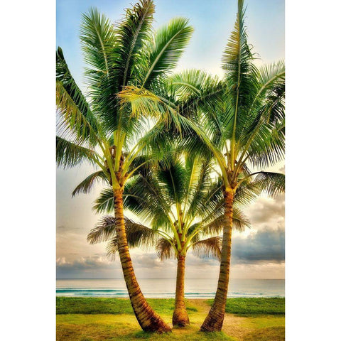 Triple Palm White Modern Wood Framed Art Print by Frates, Dennis