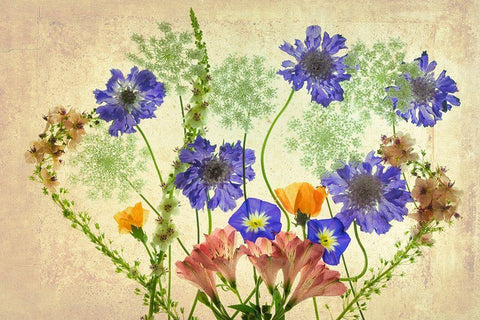 Botanical IX White Modern Wood Framed Art Print with Double Matting by Frates, Dennis