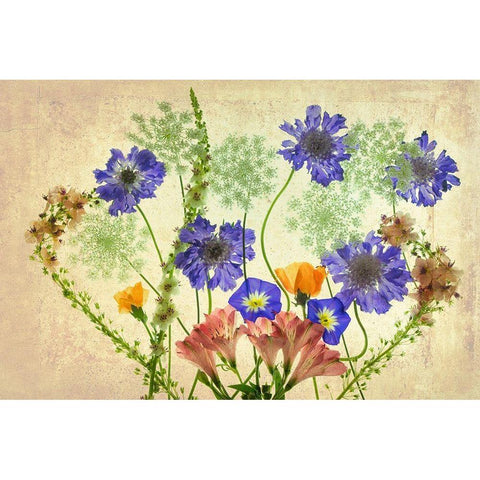 Botanical IX Black Modern Wood Framed Art Print with Double Matting by Frates, Dennis