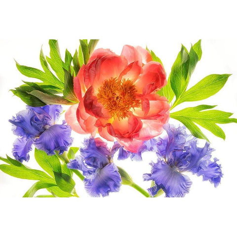 Botanical III Gold Ornate Wood Framed Art Print with Double Matting by Frates, Dennis