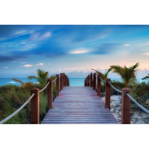 Paradise Path Gold Ornate Wood Framed Art Print with Double Matting by Frates, Dennis
